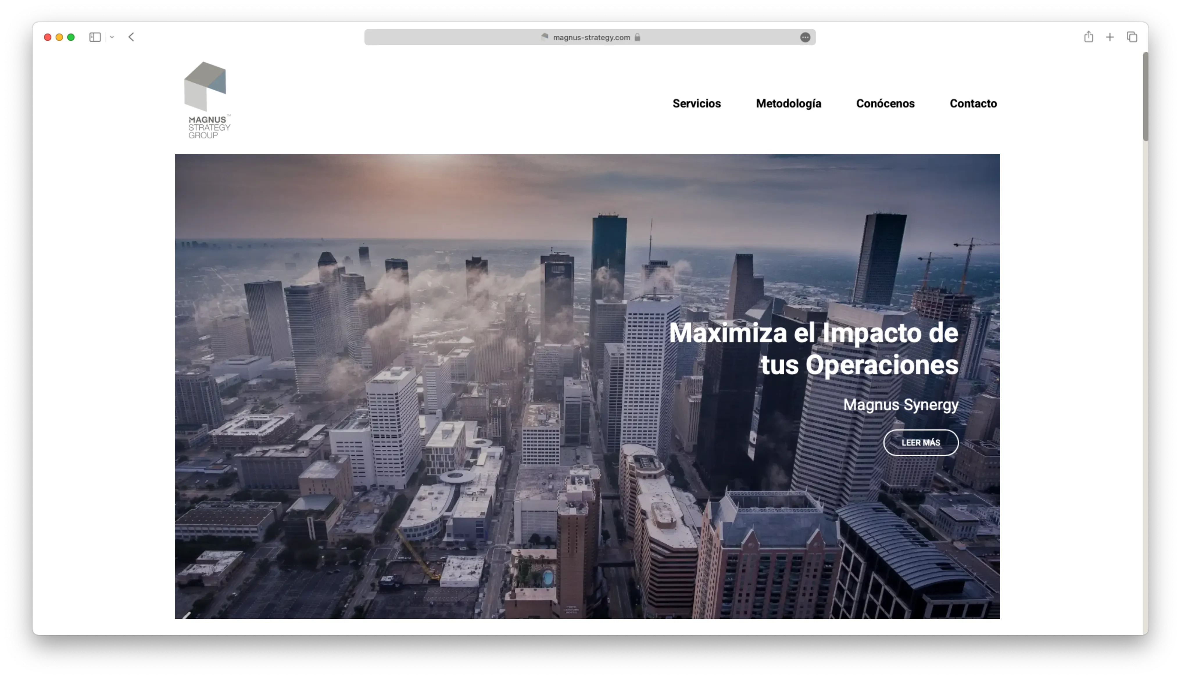 Imagen de la landing page de la web de Magnus Strategy Group