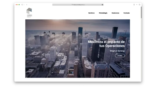 Imagen de la landing page de la web de Magnus Strategy Group